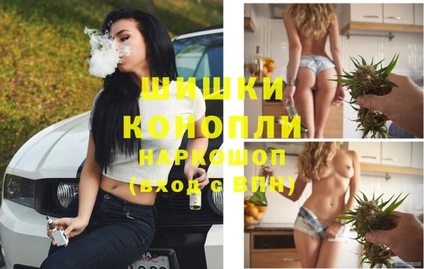 Альфа ПВП Надым