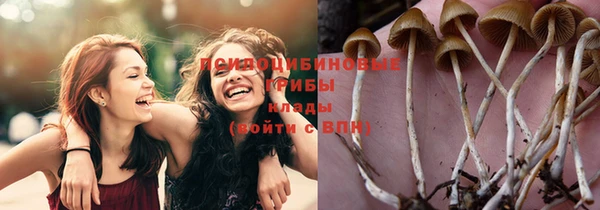 Альфа ПВП Надым
